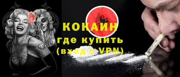 прущий лед Алзамай