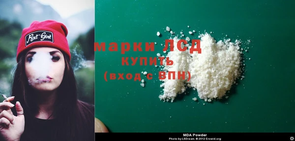 прущий лед Алзамай