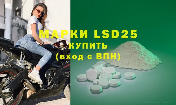 ГАЛЛЮЦИНОГЕННЫЕ ГРИБЫ Алексин